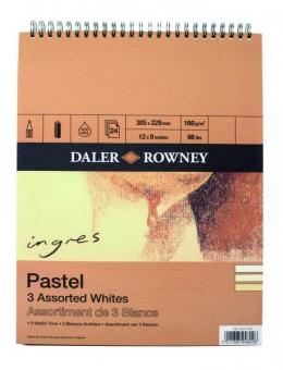 Daler-Rowney Ingres-Pastell Block ca. A4 Spiralbindung oben 3 farbig 