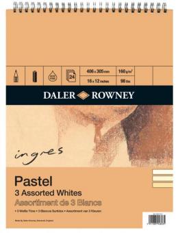 Daler-Rowney Ingres-Pastell Block ca. A3 Spiralbindung oben 3 farbig 